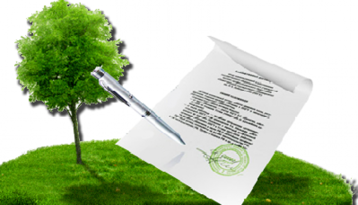 Приватизация земли